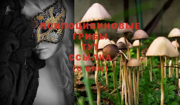 марки lsd Покровск