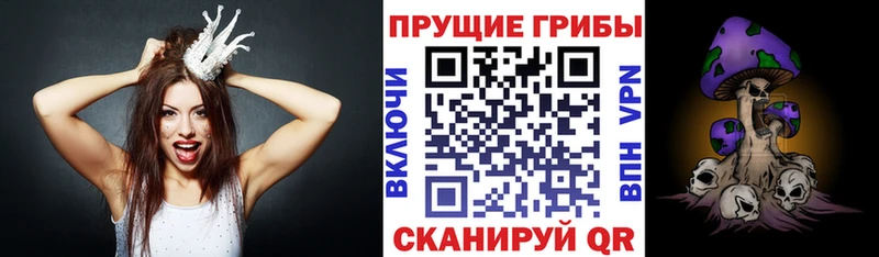 Псилоцибиновые грибы ЛСД Всеволожск